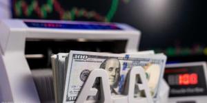 سعر الدولار مقابل الجنيه المصري اليوم الجمعة 16 يناير 2026.. وفقًا لآخر تحديث - جريدة آخر الأخبار