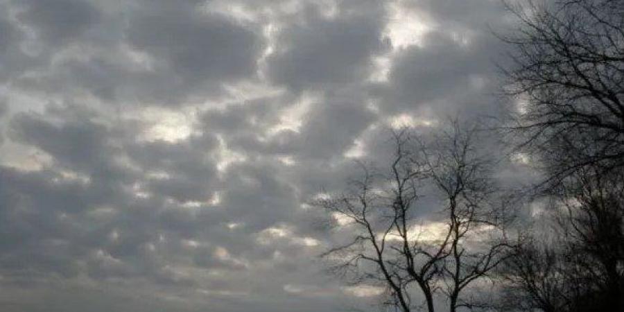 أمطار على هذه المناطق.. «الأرصاد» تحذر من طقس غدا الجمعة 16-1-2026 - جريدة آخر الأخبار