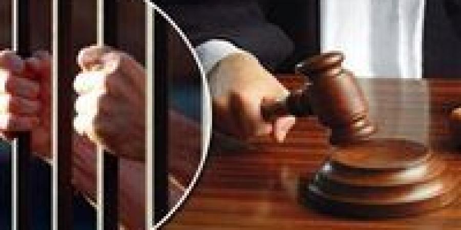 تأجيل محاكمة 9 متهمين في قضية خلية داعش مدينة نصر إلى 29 أبريل - جريدة آخر الأخبار