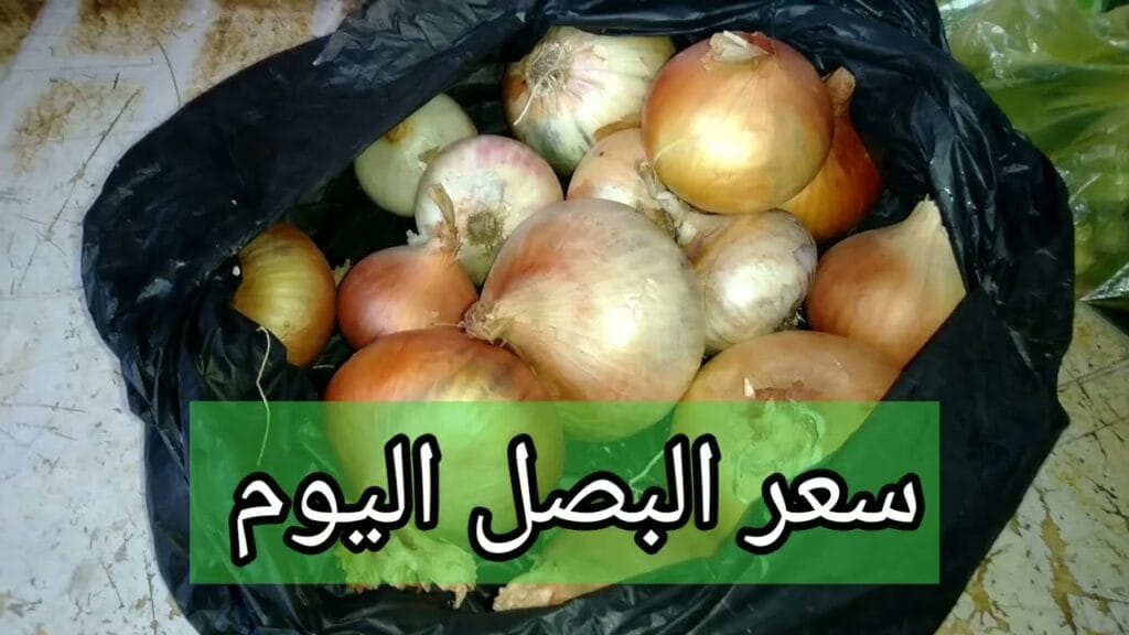 سعر البصل اليوم