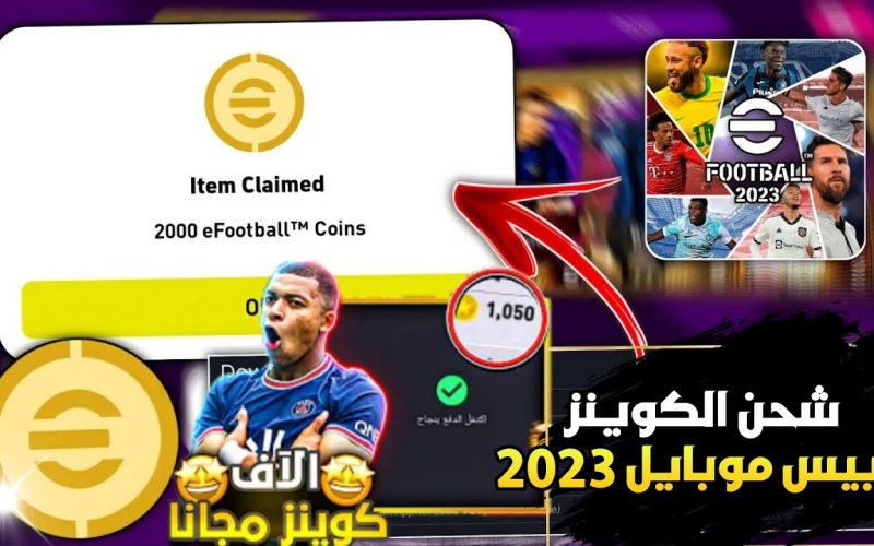 كوينز لعبة بيس 2024