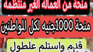 1000 جنيه منحة لـ العمالة غير المنتظمة