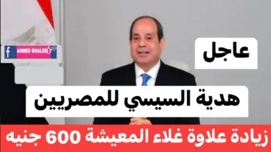 600 جنيه لأصحاب المعاشات