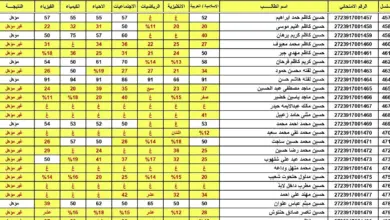 نتائج السادس الإعدادي الدور الثاني 2023 بالاسم