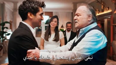 مسلسل طائر الرفراف الحلقة 45