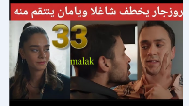 مسلسل المتوحش الحلقة 33