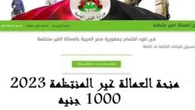 هل هناك تسجيل في العمالة غير المنتظمة