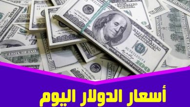 سعر الدولار اليوم مقابل الجنيه