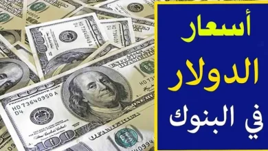 سعر الدولار اليوم في البنوك المصرية