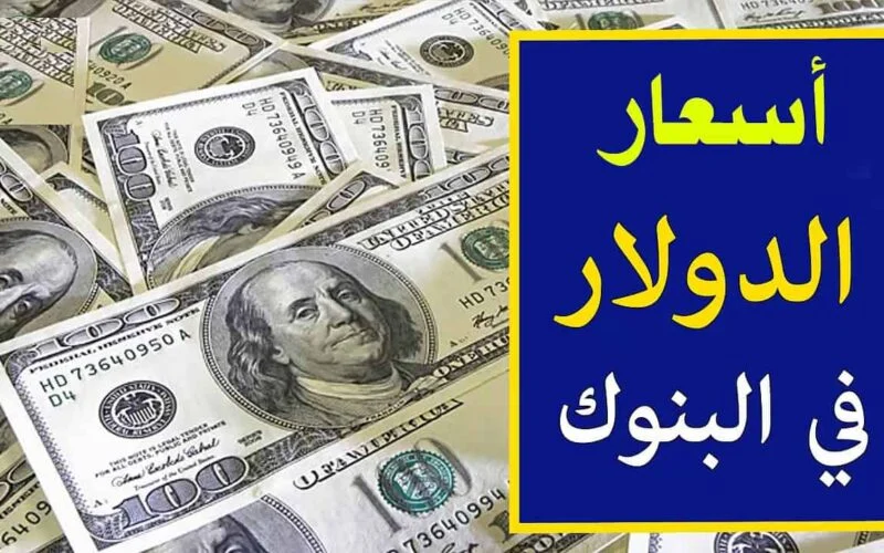 سعر الدولار اليوم في البنوك المصرية