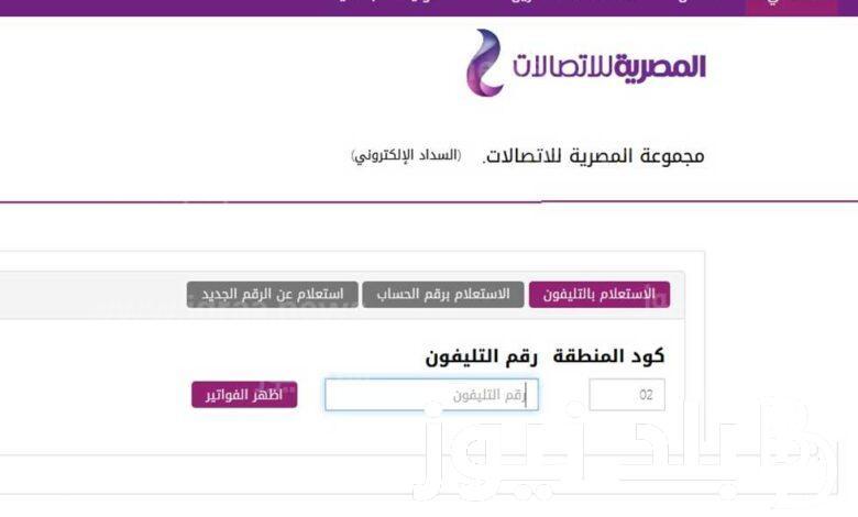 خطوات دفع فاتورة التليفون الأرضي