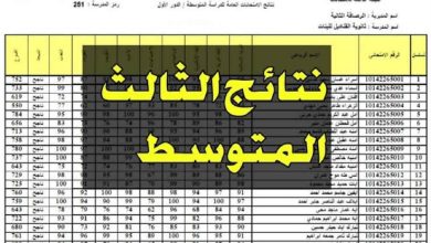 "شوف نتيجتك دلوقتي" لينك نتائج الثالث المتوسط العراق 2024 الدور الاول جميع المحافظات