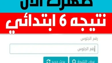 رابط تنزيل نتيجة الشهادة الابتدائية جميع المحافظات 2024