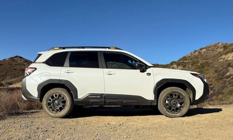 2026 سوبارو فورستر ويلدرنس إديشين ترسي معايير جديدة في عالم السيارات الرياضية المدمجة