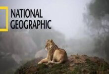 تردد قناة ناشيونال جيوجرافيك أبوظبي 2026