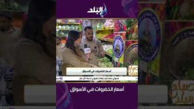 أسعار الخضروات والفاكهة في المنافذ الحكومية بوادي جديد تتباين رغم تفاوت الجودة والتوافر