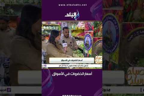 أسعار الخضروات والفاكهة في المنافذ الحكومية بوادي جديد تتباين رغم تفاوت الجودة والتوافر