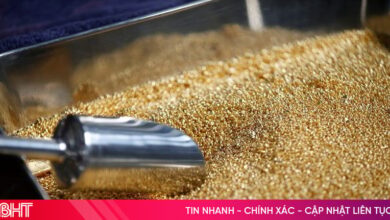 أسعار الذهب العالمية تقترب من مستوى قياسي جديد يتجاوز 5000 دولار للأونصة مع ارتفاع الطلب والاضطرابات الاقتصادية