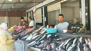أسعار السمك والمأكولات البحرية في أسواق الإسكندرية اليوم السبت 31 يناير 2026