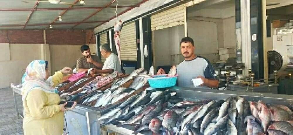 أسعار السمك والمأكولات البحرية في أسواق الإسكندرية اليوم السبت 31 يناير 2026