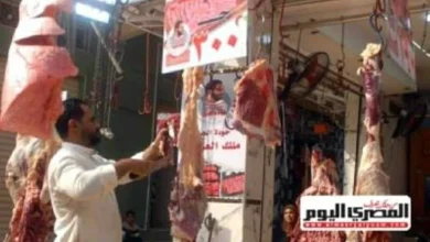 أسعار اللحوم في رمضان تظل مستقرة ومطمئنة للمواطنين وفق التصريحات الرسمية من شعبة القصابين