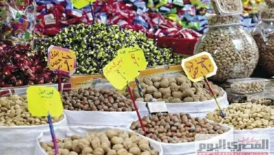 أسعار ياميش رمضان لعام 2026 وأماكن توفر أفضل العروض تلبية لاحتياجات المستهلكين