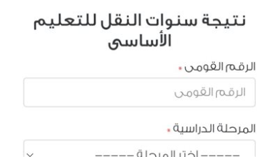 أكثر من مليون طالب في القاهرة يحتفلون اليوم بنتيجة سنوات النقل لعام 2026 للفصل الدراسي الأول