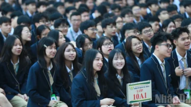 إعلان نتائج امتحان اختيار الطلاب المتميزين الوطني لعام 2025-2026