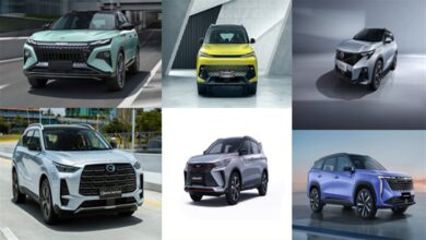 ارتفاع قيمة السيولة المتاحة إلى 295 ألف جنيه يعزز من فرص المستثمرين في الحصول على عوائد مربحة