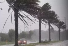 الأرصاد تحذر من تقلبات جوية تتضمن شبورة وأمطار ورياح على المناطق المختلفة يوم السبت 23 يناير 2026