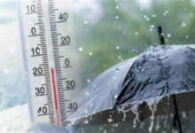 الأرصاد تحذر من حالة الطقس الساعات القادمة مع نشاط في الرياح وتشكل ضباب على الطرقات