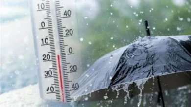 الأرصاد تحذر من حالة الطقس الساعات القادمة مع نشاط في الرياح وتشكل ضباب على الطرقات