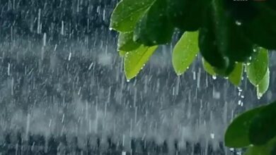 الأمطار الرعدية تتساقط على 14 ولاية وتثير قلق السكان