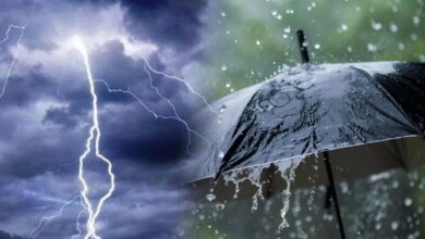 الأمطار تتساقط على 17 محافظة وتحذيرات الأرصاد الجوية تحذر من تقلبات الطقس في الساعات القادمة