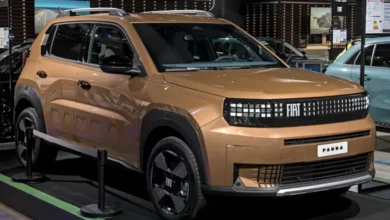 الجزائر تصدر بيانا حاسما وتوضح حقيقة سعر “غراندي باندا”