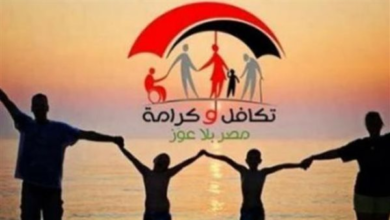 الطريق لمعرفة نتائج قبول معاش تكافل وكرامة لعام 2026 باستخدام الرقم القومي