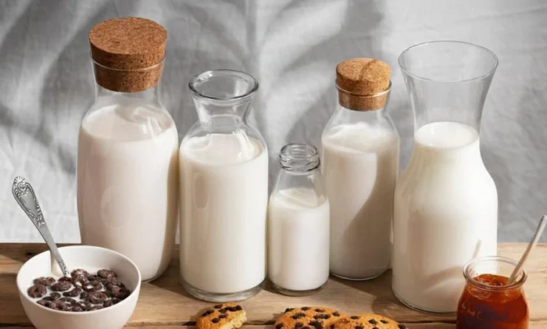 تجار الإسكندرية يستقرون على أسعار الألبان دون زيادة قبل رمضان 2026