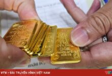 تجاوز سعر الأونصة من الذهب 174 مليون دونغ فيتنامي