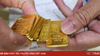 تجاوز سعر الأونصة من الذهب 174 مليون دونغ فيتنامي