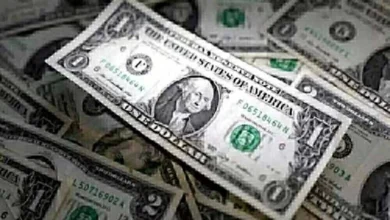 تراجع سعر الأخضر في البنوك قبل استقرار الدولار مقابل الجنيه المصري اليوم السبت 24 يناير 2026