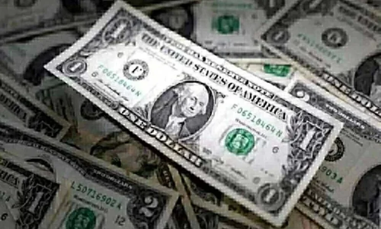 تراجع سعر الأخضر في البنوك قبل استقرار الدولار مقابل الجنيه المصري اليوم السبت 24 يناير 2026