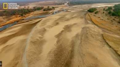 تردد قناة ناشونال جيوغرافيك أبو ظبي الجديد لعام 2026 على النايل سات