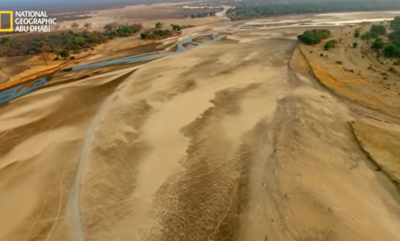 تردد قناة ناشونال جيوغرافيك أبو ظبي الجديد لعام 2026 على النايل سات