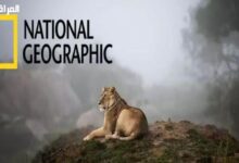 تردد قناة ناشيونال جيوجرافيك أبوظبي على القمر الصناعي نايل سات لعام 2026  

هل تود أن أساعدك بشيء آخر؟