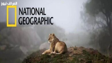 تردد قناة ناشيونال جيوجرافيك أبوظبي على القمر الصناعي نايل سات لعام 2026  

هل تود أن أساعدك بشيء آخر؟