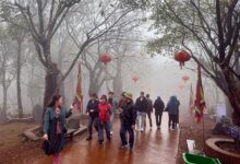 تغيرات الطقس تتراوح بين البارد والممطر في شمال فيتنام والجاف والمشمس في جنوبها