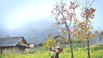 تغيرات جوية تبدأ بامطار وضباب في الصباح وتتحول إلى أشعة شمس ساطعة بعد الظهر