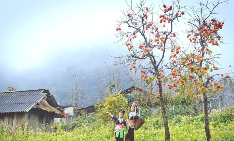 تغيرات جوية تبدأ بامطار وضباب في الصباح وتتحول إلى أشعة شمس ساطعة بعد الظهر