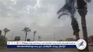 حالة الطقس اليوم الجمعة 23 يناير 2026 في المنيا مع شبورة صباحية وشديد البرودة ليلاً