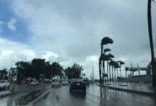 حالة الطقس اليوم السبت 24 يناير 2026 في مصر تشهد بردًا قارسًا ليلاً